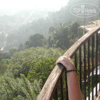 фото из отзыва ID 870817