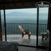 фото из отзыва ID 870817