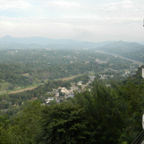 фото из отзыва ID 870817