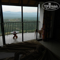 фото из отзыва ID 870817