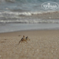 фото из отзыва ID 870743