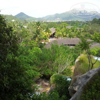 фото из отзыва ID 870882