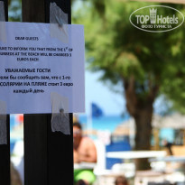 фото из отзыва ID 870993