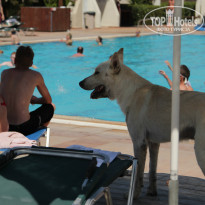 фото из отзыва ID 870993