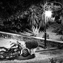 фото из отзыва ID 870993