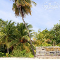 фото из отзыва ID 870400