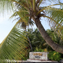 фото из отзыва ID 870400