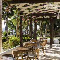 фото из отзыва ID 870765