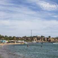 фото из отзыва ID 870765