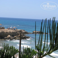 фото из отзыва ID 87186