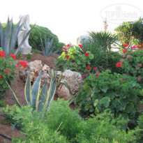 фото из отзыва ID 87186