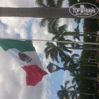 фото из отзыва ID 871002