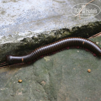 фото из отзыва ID 871211