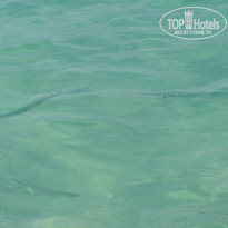 фото из отзыва ID 871211