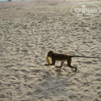 фото из отзыва ID 871299