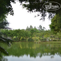 фото из отзыва ID 871299