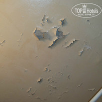 фото из отзыва ID 871365