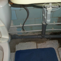 фото из отзыва ID 871365