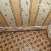 фото из отзыва ID 871365