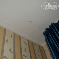 фото из отзыва ID 871365