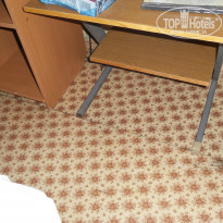 фото из отзыва ID 871365