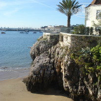 фото из отзыва ID 871376