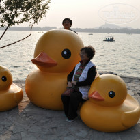 фото из отзыва ID 871398