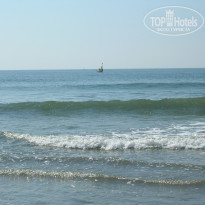 фото из отзыва ID 871643