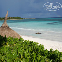 фото из отзыва ID 871688