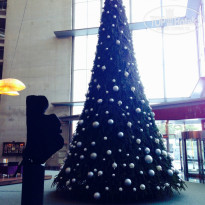 фото из отзыва ID 871814