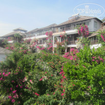 фото из отзыва ID 871925