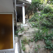 фото из отзыва ID 871329