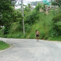 фото из отзыва ID 871670