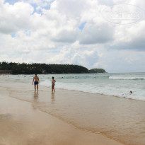 фото из отзыва ID 871670