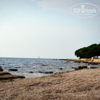 фото из отзыва ID 872139