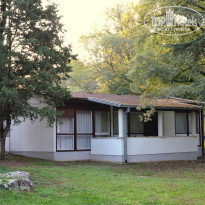 фото из отзыва ID 872139