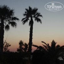 фото из отзыва ID 872272