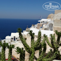 фото из отзыва ID 872272