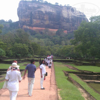 фото из отзыва ID 872336