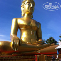 фото из отзыва ID 872444