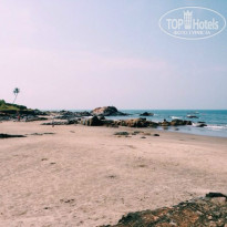 фото из отзыва ID 872843