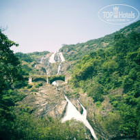 фото из отзыва ID 872843