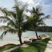 фото из отзыва ID 872980