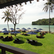 фото из отзыва ID 872980