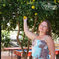 фото из отзыва ID 872476