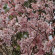 фото из отзыва ID 872874