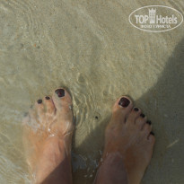 фото из отзыва ID 872562