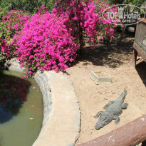 фото из отзыва ID 873077