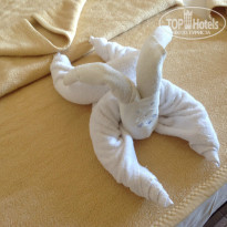 фото из отзыва ID 873084