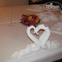 фото из отзыва ID 873084